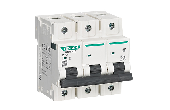 Aptomat tép MCB TGB3-125(H)