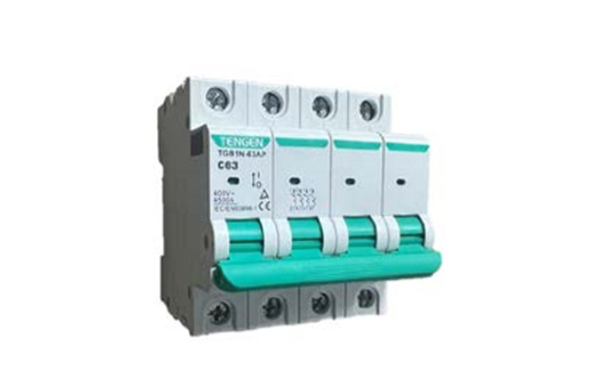 Aptomat tép MCB TGB1N-63(A)P