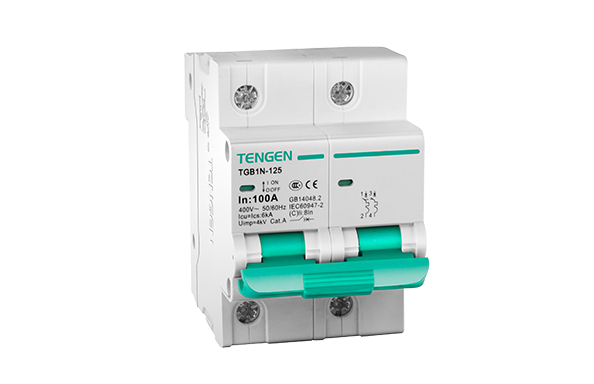Aptomat tép MCB TGB1N-125