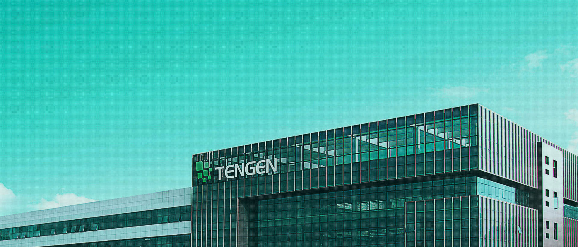 Tengen Group Overview